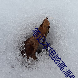 笔记本(běn)电脑高清壁纸
