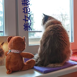美女总裁俏房客