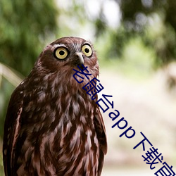 尊龙凯时·(中国)官方网站