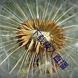 下(xià)载依人直(zhí)播