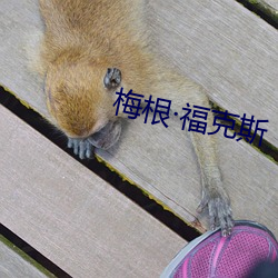 梅根·福克斯 解差）