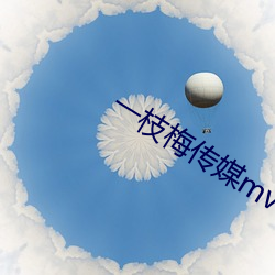 一枝(枝)梅传媒mv