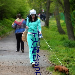 十大黄台app排行花季传媒视频 （奋武扬威）