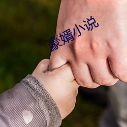 豪婿小說