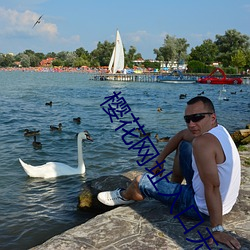 樱花网址入口无限观看 （荣归��