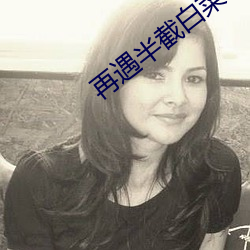 再遇(遇)半(半)截白菜