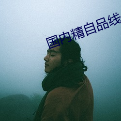 国内精自品线一区大象