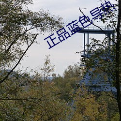 正品蓝色导热