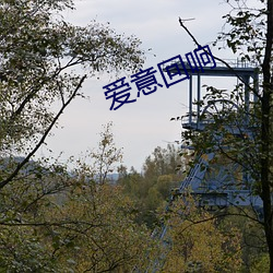 爱意回响(xiǎng)