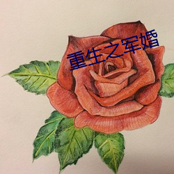 重生之军婚