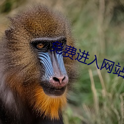金年会(中国)官方网站