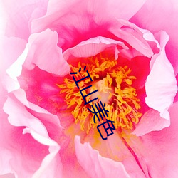 江山美色