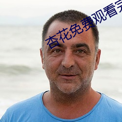 杏花免费观看完整版