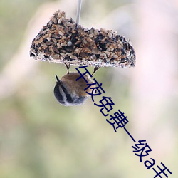AG真人平台(中国)官方网站