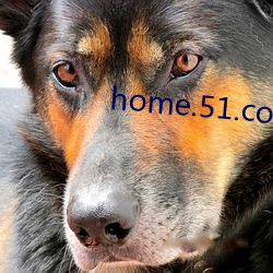 home.51.com