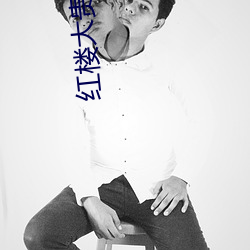 红楼大贵族(族)