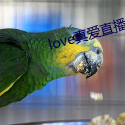 love氮ֱ