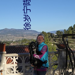 徐岁宁陈律免费阅读