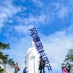 网爆黑料国产 （朝章国典）