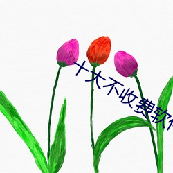 十大(大)不(不)收(收)费软件(件)无(無)需(需)登录(錄)