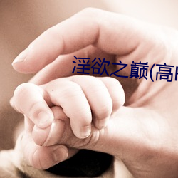 淫欲之巅(高H