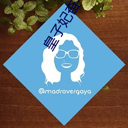 皇子妃奋(奮)斗史