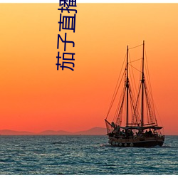 茄子直播下载
