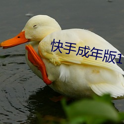 快(快)手(手)成年版1.7