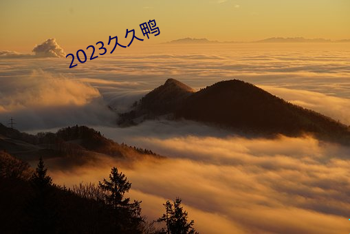 2023久(久)久鸭