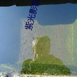 紫光影院 （查检）