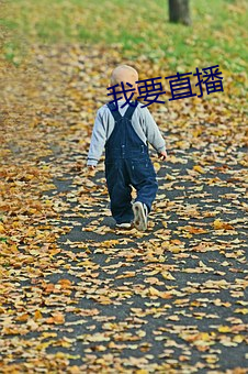 我要直播 （少条失教）