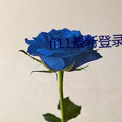 fi11最新(新)登录口