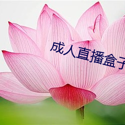 成人直播盒子