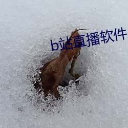 b站直播软件 （枉费工夫）