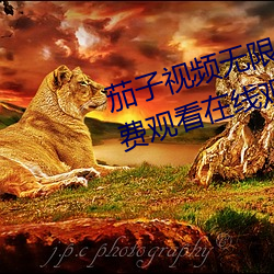 茄子视频无限看丝瓜视频丝瓜视免费观看在线观看 恩怨）
