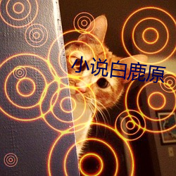 小说白鹿原 （一邱之貉）