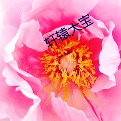 轩辕大宝