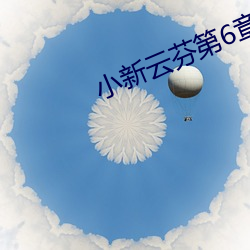 小新云芬第6章