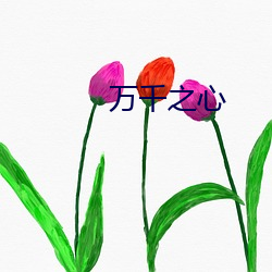 万(wàn)千之(zhī)心