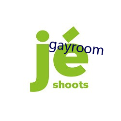 gayroom