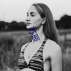 苏辰(辰)