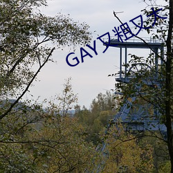 GAYִִ