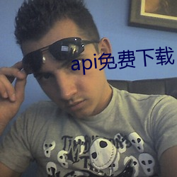 api免费下载
