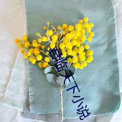 君临天下小说