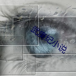 武庚纪小说