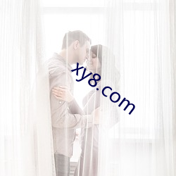 xy8.com