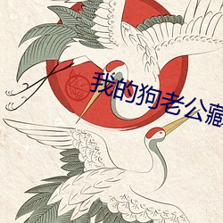 我的狗老公藏(cáng)獒(áo)格桑(sāng)下载(zài)
