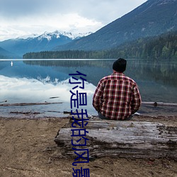 你是我(我)的风(風)景