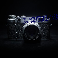 灵魂摆渡(渡)小(小)说