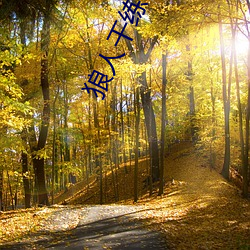 918博天堂·(中国)手机版客户端